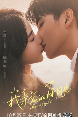 南岸如何seo优化排名